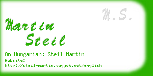 martin steil business card